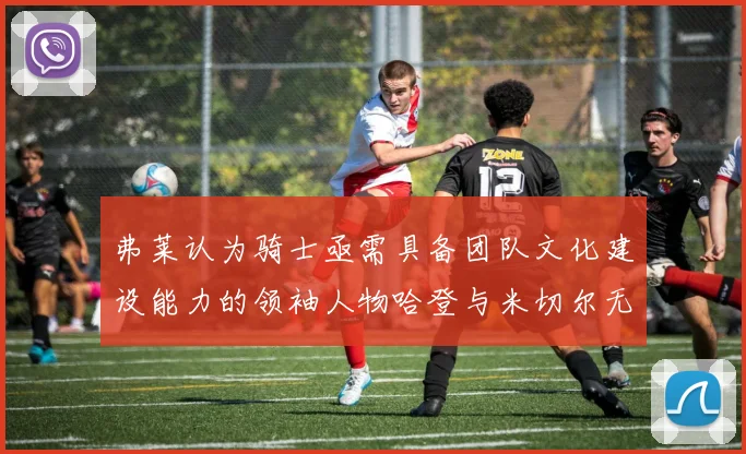 弗莱认为骑士亟需具备团队文化建设能力的领袖人物哈登与米切尔无法胜任
