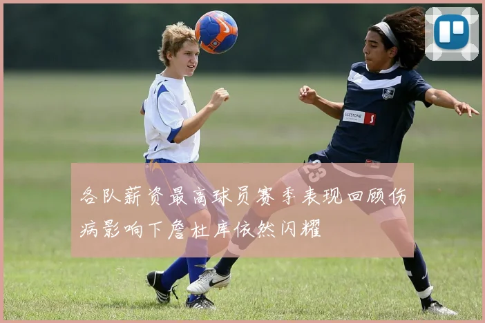 各队薪资最高球员赛季表现回顾伤病影响下詹杜库依然闪耀